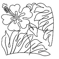 lush hibiscus brd crn 001